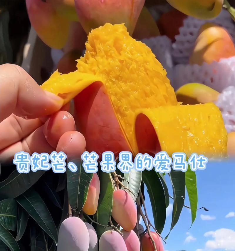 芒果剪辑视频怎么导入抖音？操作步骤是什么？
