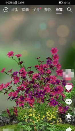 抖音绿色剪辑版怎么用？如何快速上手剪辑功能？