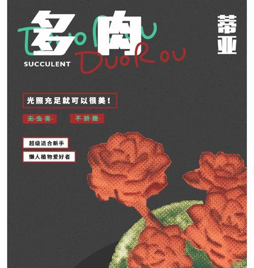 多肉视频在抖音上的剪辑制作方法是什么？剪辑过程中常见的问题有哪些？