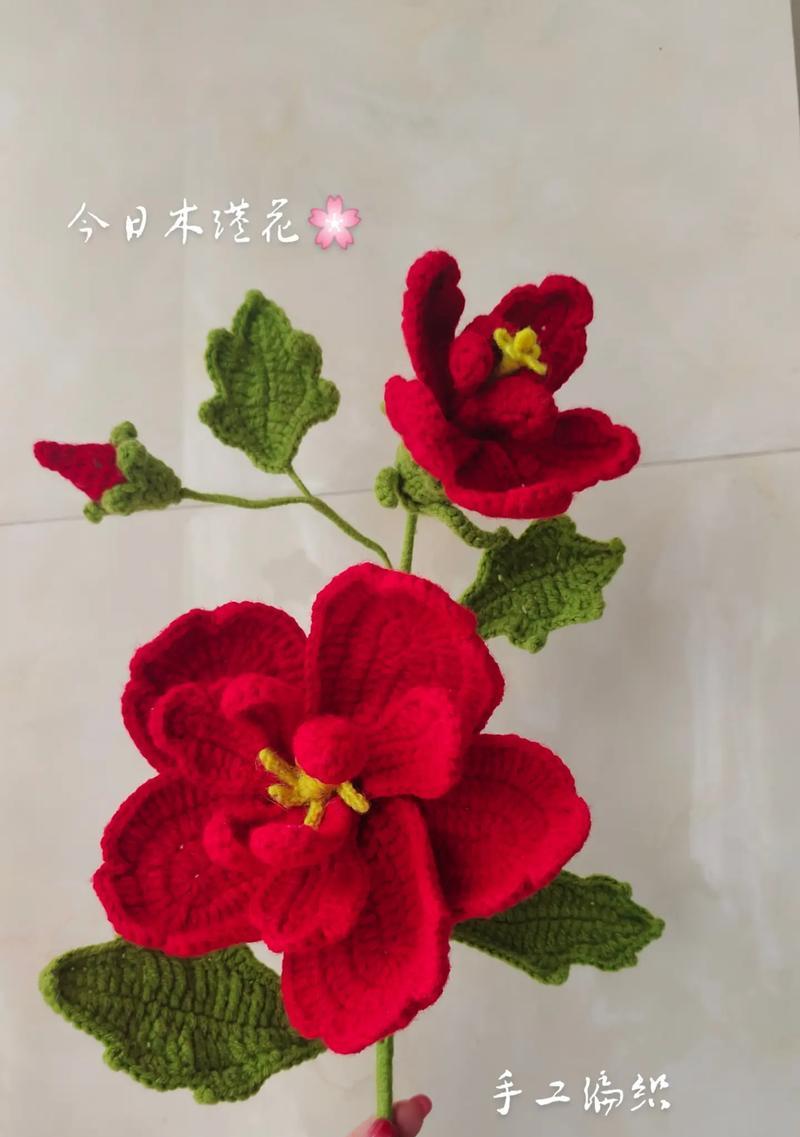 木槿剪辑在抖音上如何制作吸引人的视频？