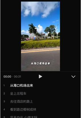 抖音视频如何添加整段字幕？操作步骤是什么？
