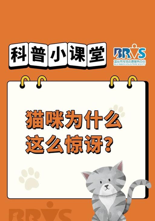 抖音视频如何添加惊讶表情和音效？