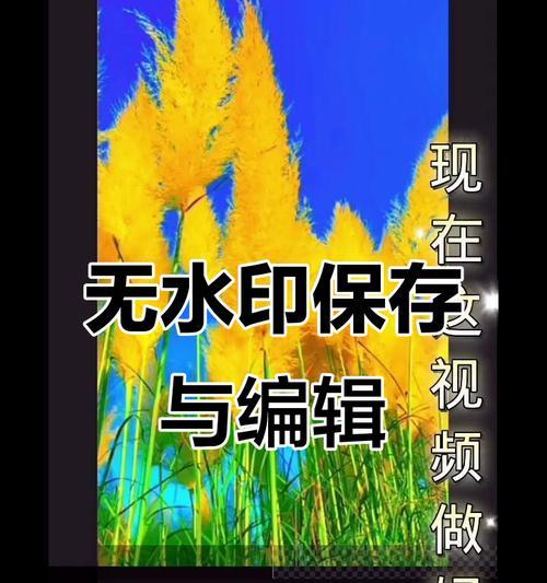 快手视频如何慢动作剪辑？步骤和技巧是什么？
