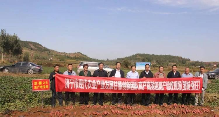 邹城公司网站如何做推广？有哪些有效的推广策略？