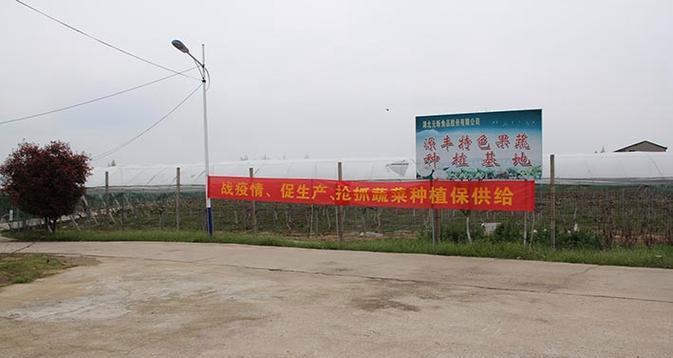 安陆市网站如何推广出去？有哪些有效策略？