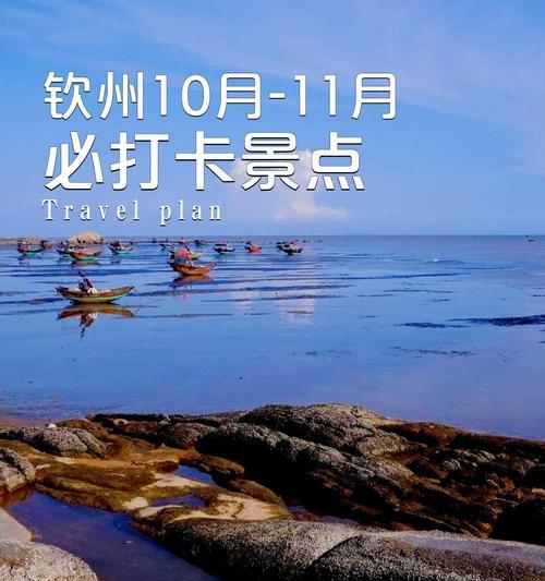 如何找宝藏网站进行有效推广？推广宝藏网站有哪些策略？