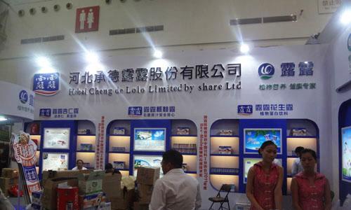 承德如何制作网站推广？有哪些有效的推广方法？