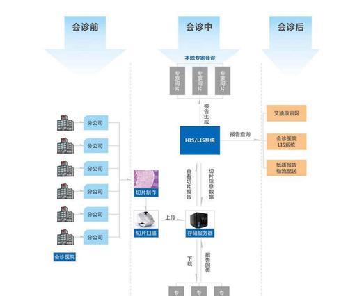 如何进行病理网站分析？分析步骤和常见问题解答？