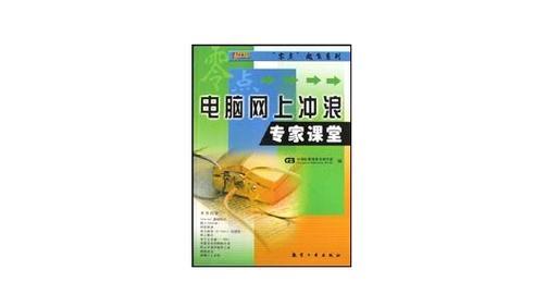 网站冲浪技巧分析怎么写？如何提升网站访问效率？