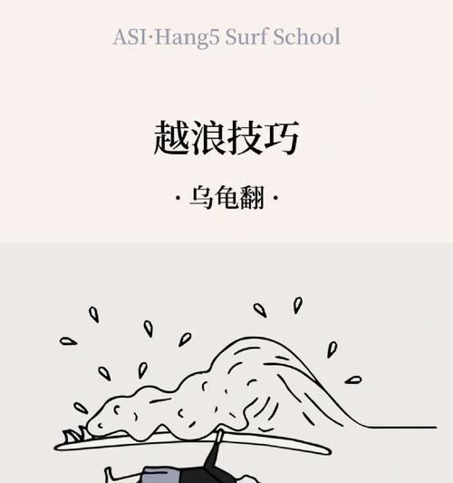 网站冲浪技巧分析怎么写？如何提升网站访问效率？
