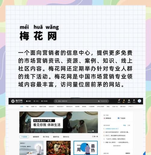 新网站关键词怎么设置？如何优化关键词提高SEO效果？