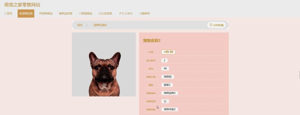 怎么给网站装博客程序？安装步骤和常见问题解答？