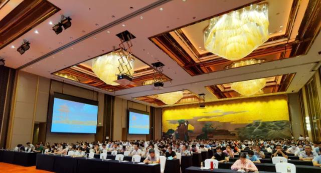 纪实新闻网站特点分析怎么写？如何深入理解其运作模式？