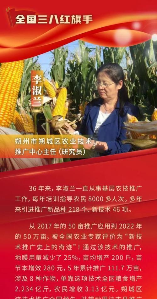 朔州网站推广如何选择？选择哪种推广方式最有效？