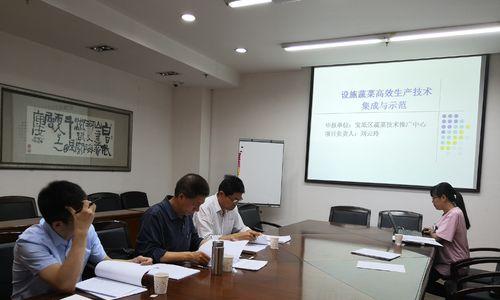 宝坻区网站如何推广？有哪些有效策略？