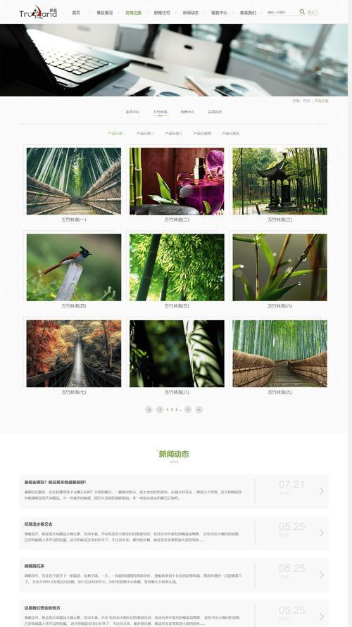 手机上编写html网页软件有哪些？如何选择适合自己的工具？