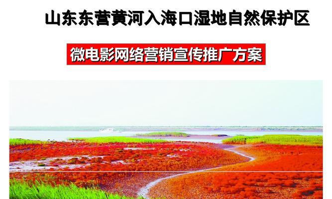 东营网站如何做推广的？有哪些有效的方法和策略？