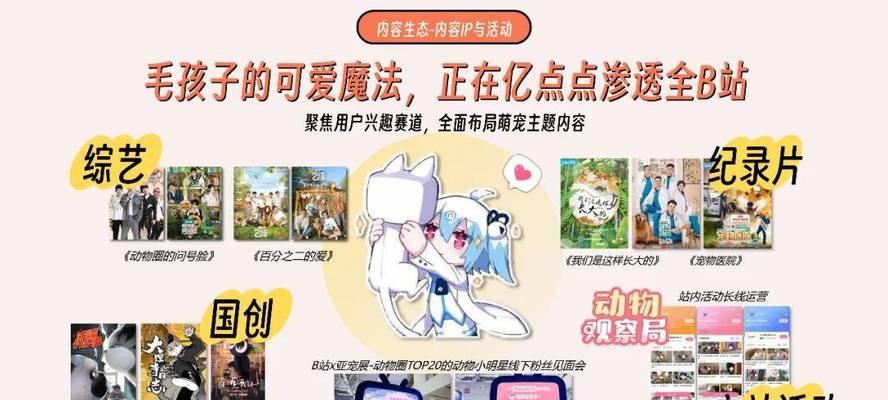 B站推广网站的策略是什么？如何有效提升网站流量？