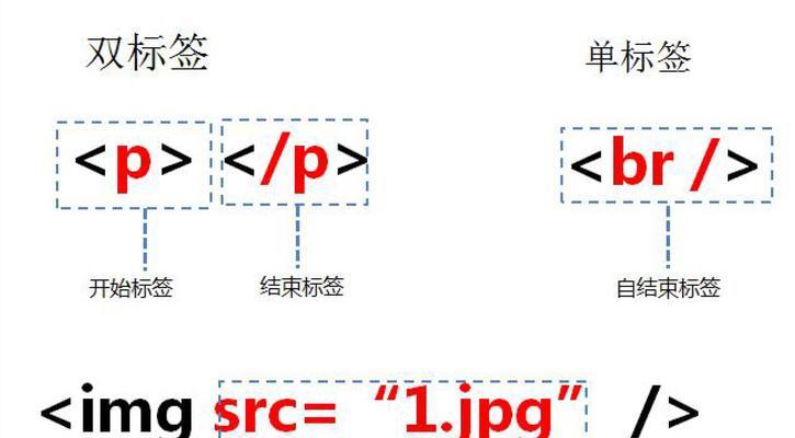 HTML单标签与双标签的区别是什么？它们各自有哪些特点？