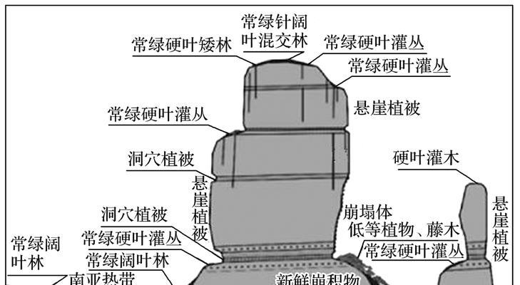 地理网站景观分析报告怎么写？需要包含哪些关键要素？