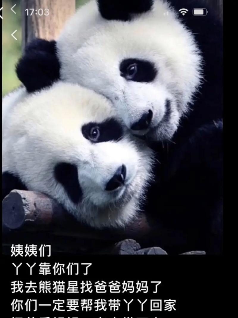 抖音回家剪辑怎么做的啊？视频编辑的步骤和技巧是什么？