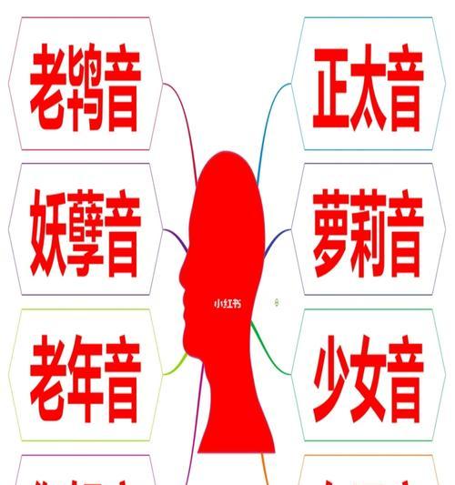 小红书视频剪辑技巧：如何实现变声效果？