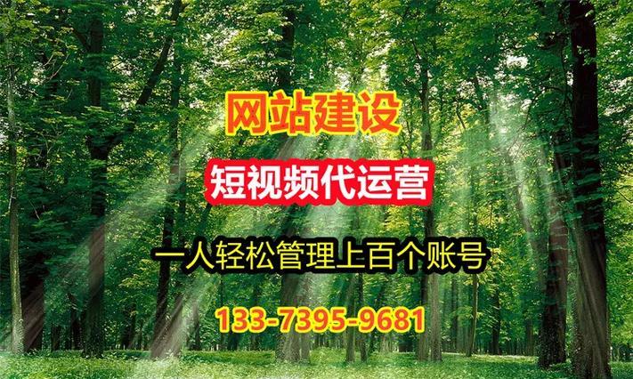 新乡短视频优化怎么做？有哪些有效策略？