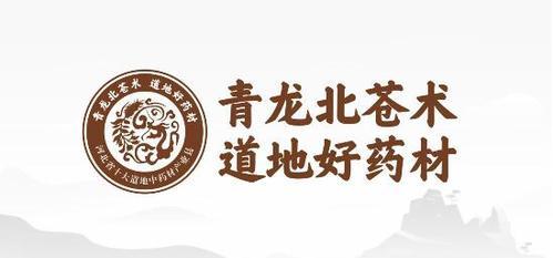 中药网站如何推广？有哪些有效的SEO策略？