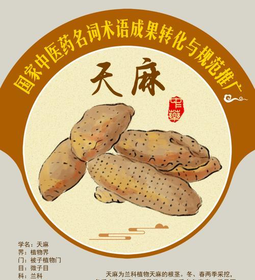 中药网站如何推广？有哪些有效的SEO策略？