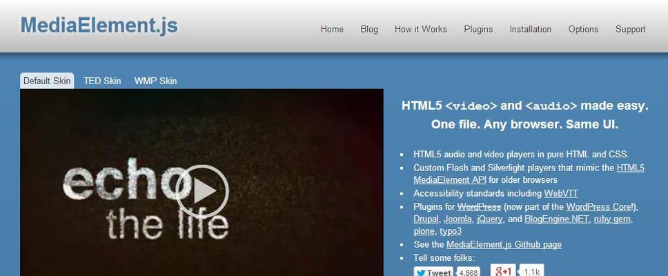 HTML5视频标签支持哪些视频格式？如何使用？