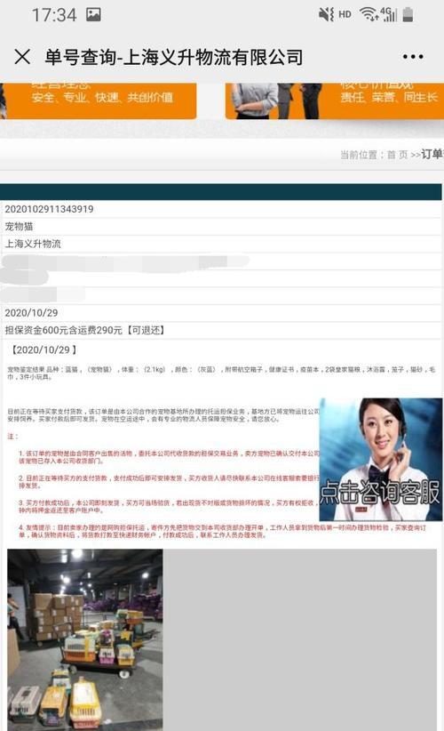 网络骗局分析网站怎么写？如何有效识别和防范网络骗局？