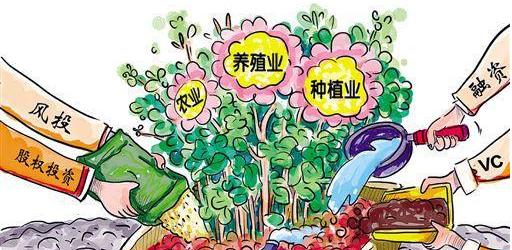 产品众筹网站套路分析怎么写？如何识别并避免常见的众筹陷阱？