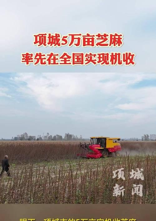 项城公司网站如何做推广？有哪些有效的推广策略？