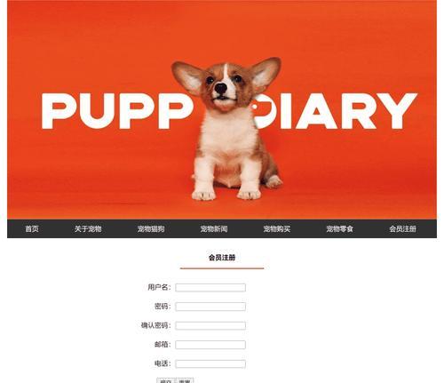 HTML网页开发软件有哪些？如何选择适合的开发工具？