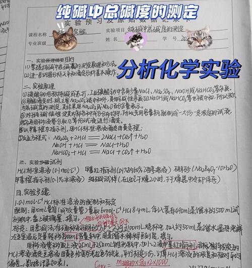 网站建设实验报告分析怎么写？分析步骤和要点有哪些？