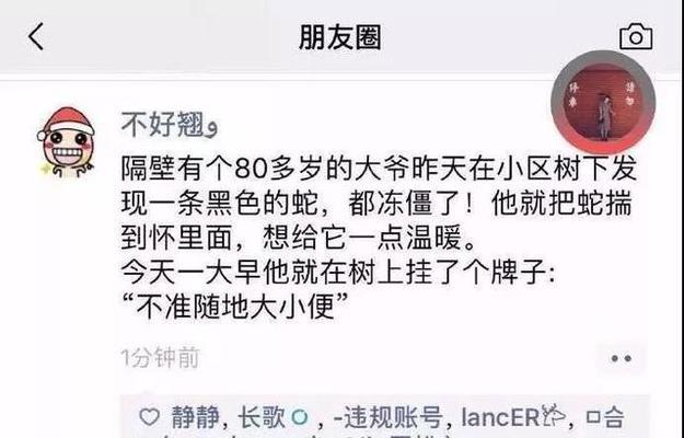 有哪些恶搞的html代码示例？如何创建有趣的网页效果？