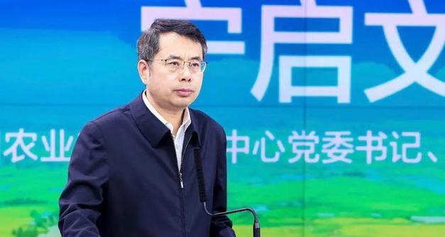 宁安网站如何推广？有哪些有效的推广策略？