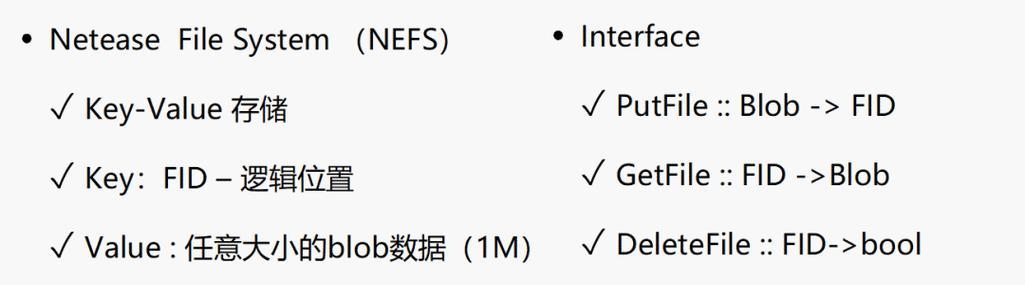 HTML中哪些元素可以带有value属性？如何正确使用？