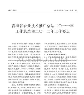 青海网站如何推广？有效提升网站流量的策略是什么？