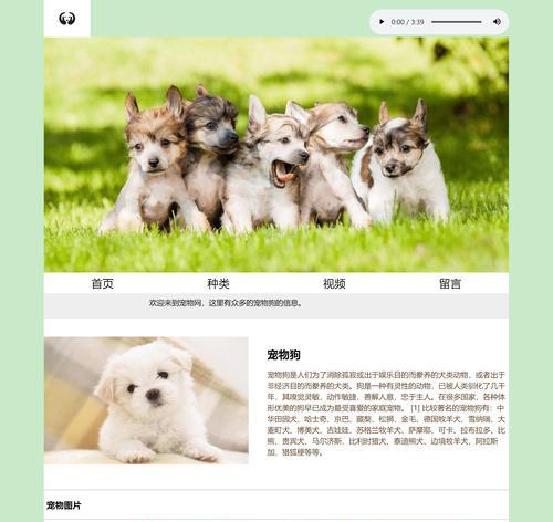 怎么设计博客网站？新手建站的五个常见问题及解决方法？