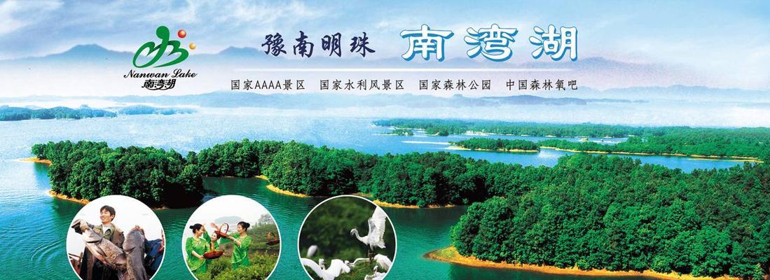 南湾如何进行网站推广？有哪些有效的方法和策略？