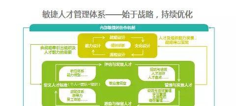 HTML中HR标记的属性有哪些？如何正确使用它们？