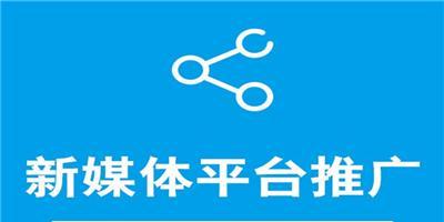 惠州网站如何推广效果最好？有哪些有效策略？