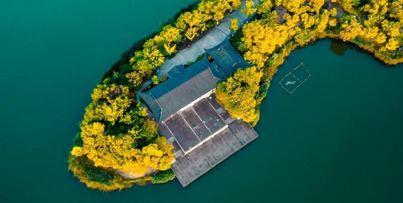 如何查询照片拍摄的具体地点？分析照片拍摄地点网站的使用方法是什么？