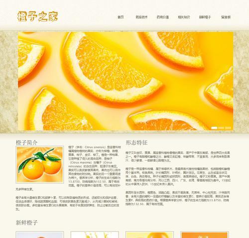 HTML网页设计需要哪些软件？如何选择合适的网页设计工具？