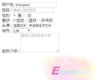 HTML表单标签全面解析：打造高效交互界面