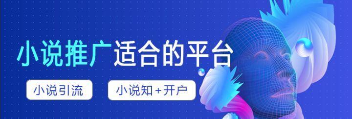 如何在网站上有效推广出版的小说？