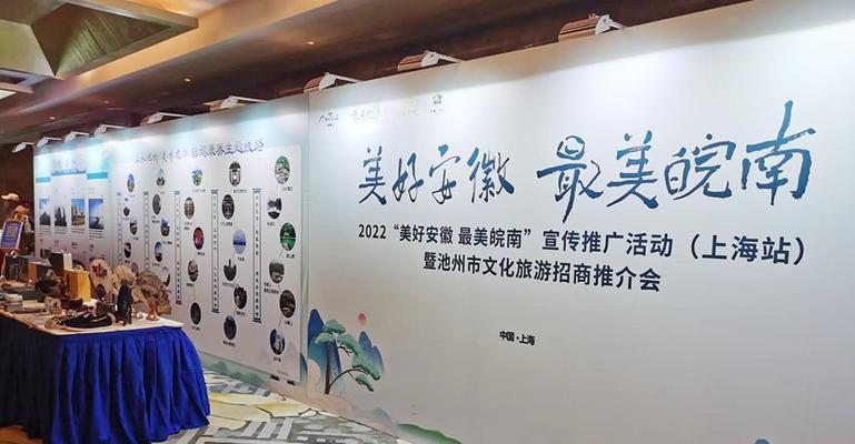 池州网站推广如何做大