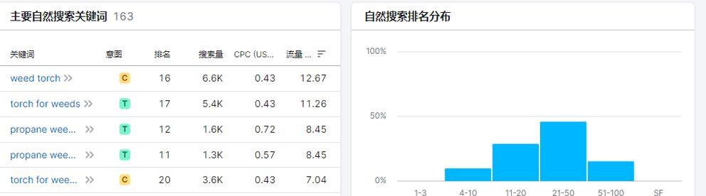 网站主关键词怎么查