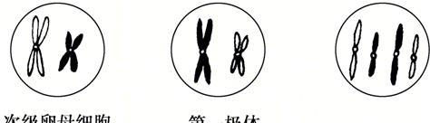 HTML属于非成对标记有哪些